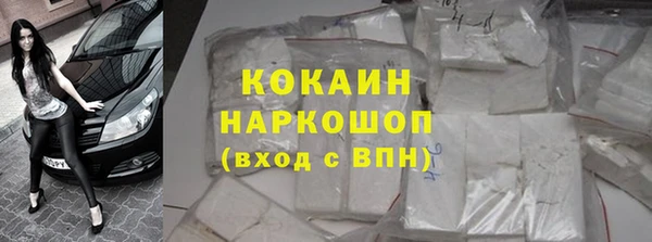 прущие грибы Нижневартовск