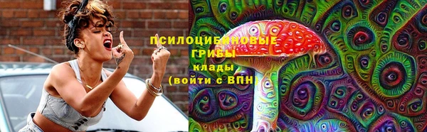 молекула духа Мурманск