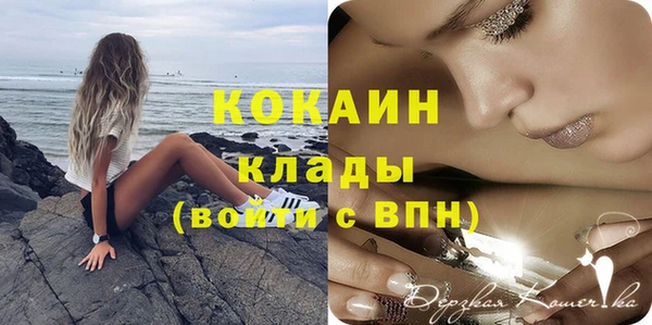 тгк Алексин