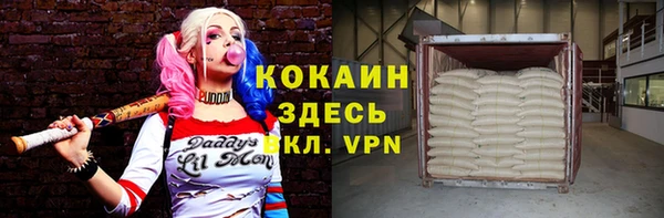 тгк Алексин