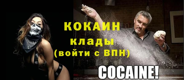 тгк Алексин