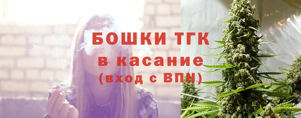 тгк Алексин