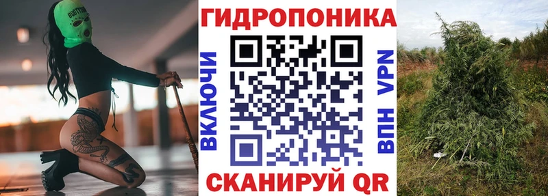 Бошки Шишки White Widow  Ангарск 